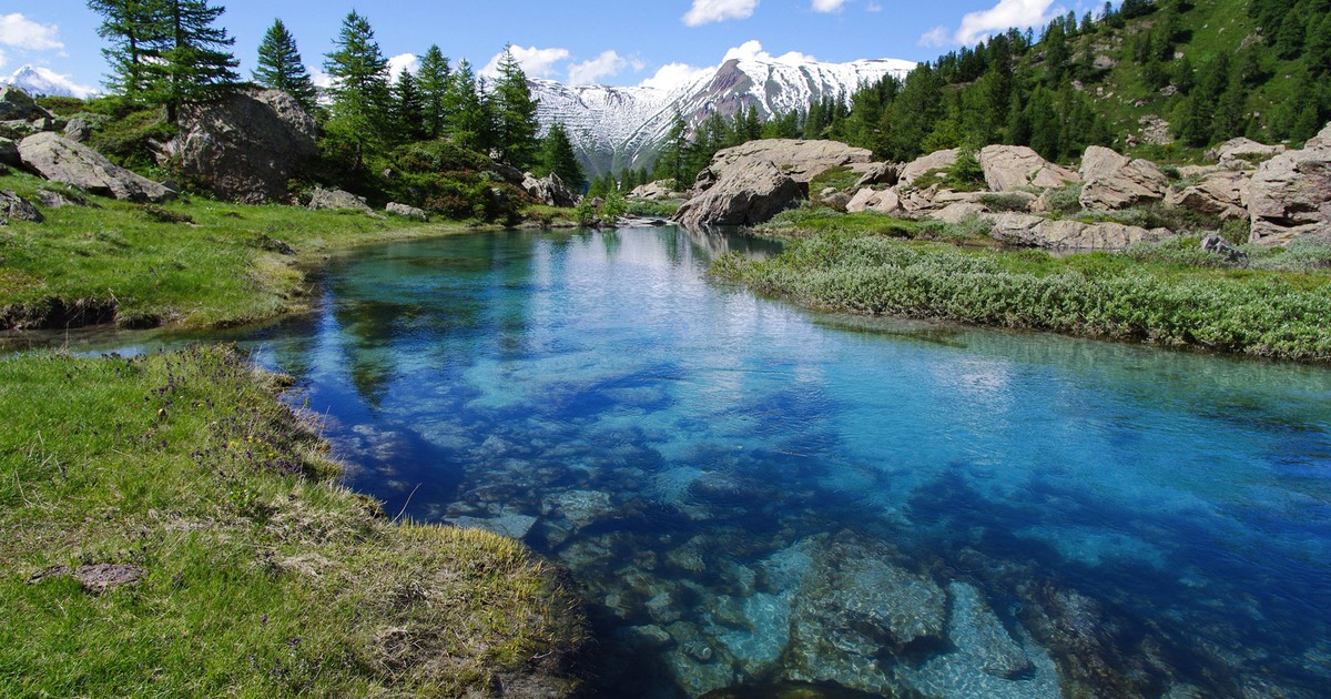 About us River Pearl PLUS